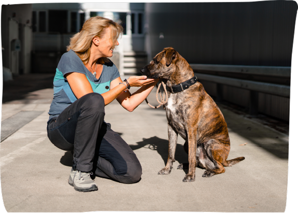 Ich zeige Dir, wie Du Deine Fellnase und Samtpfote von innen stärkst!